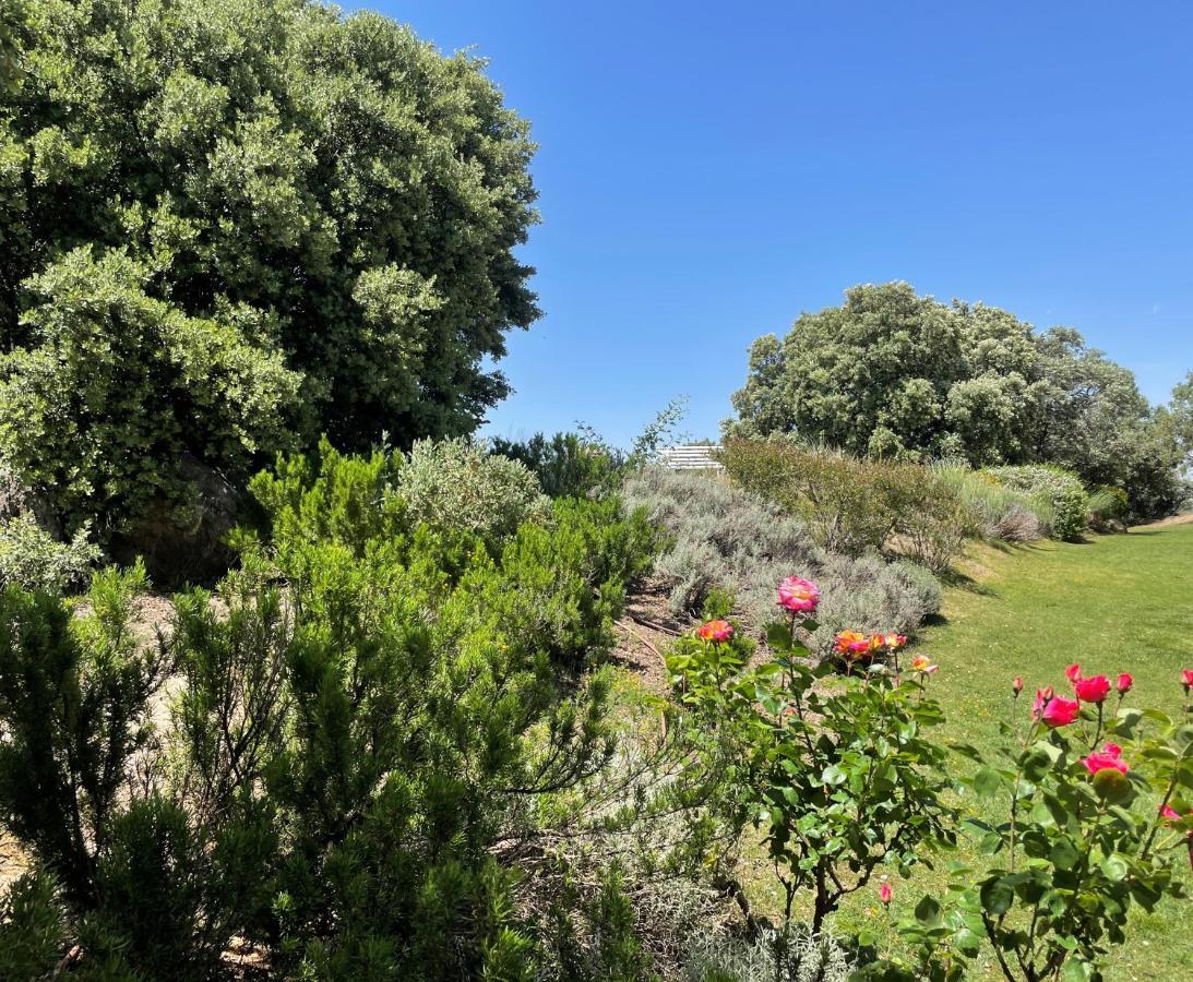 הוילה Zarzuela del Monte El Encinar De Gabino מראה חיצוני תמונה