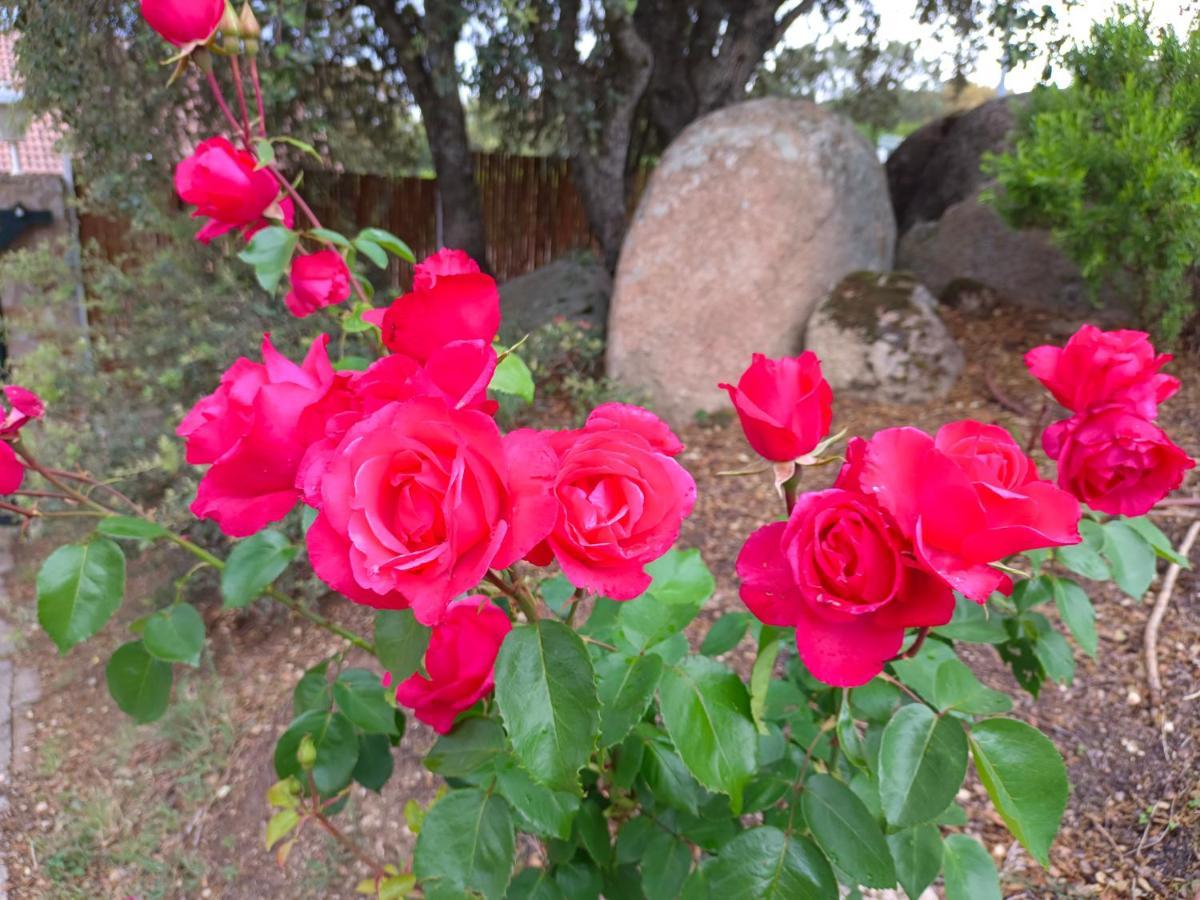 הוילה Zarzuela del Monte El Encinar De Gabino מראה חיצוני תמונה
