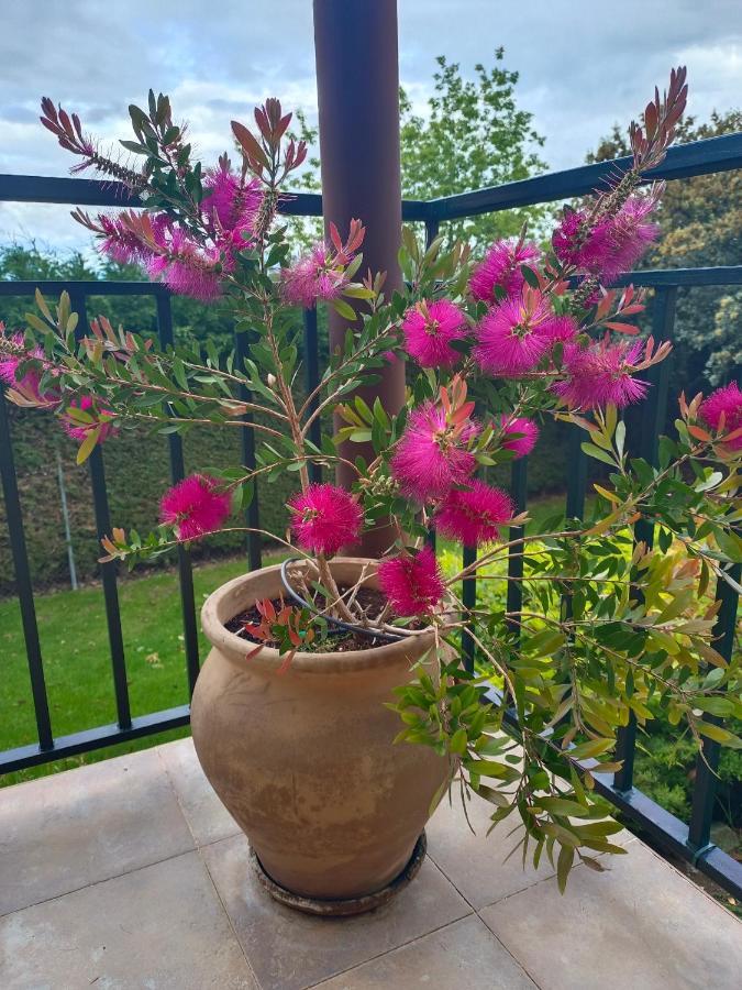 הוילה Zarzuela del Monte El Encinar De Gabino מראה חיצוני תמונה